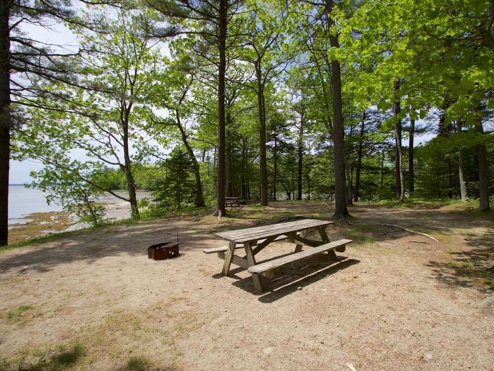 Interactive Campground Map Middle Bay Wolfe's Neck