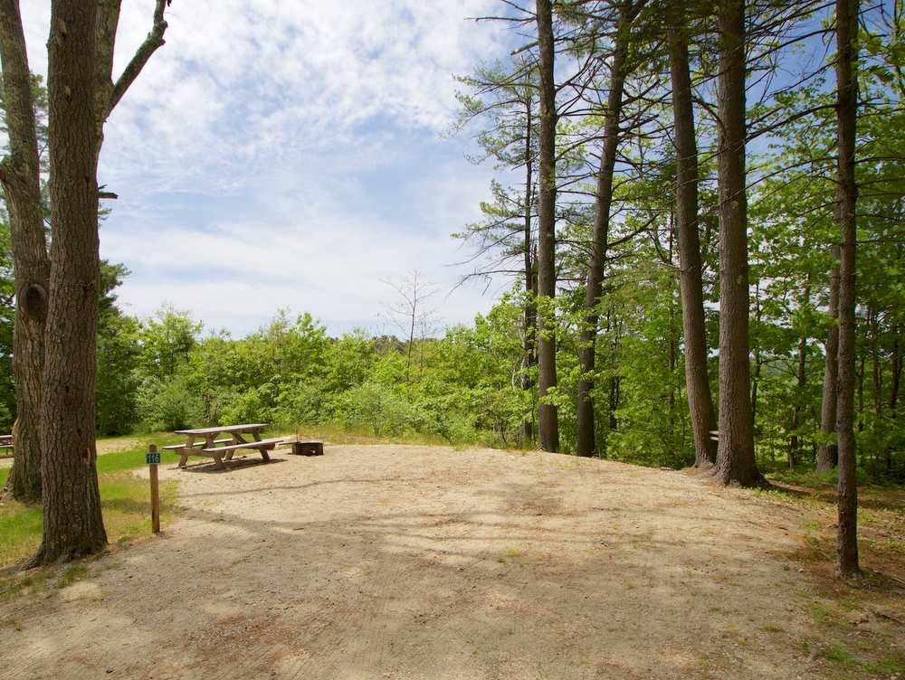 Interactive Campground Map East Bay Wolfe's Neck