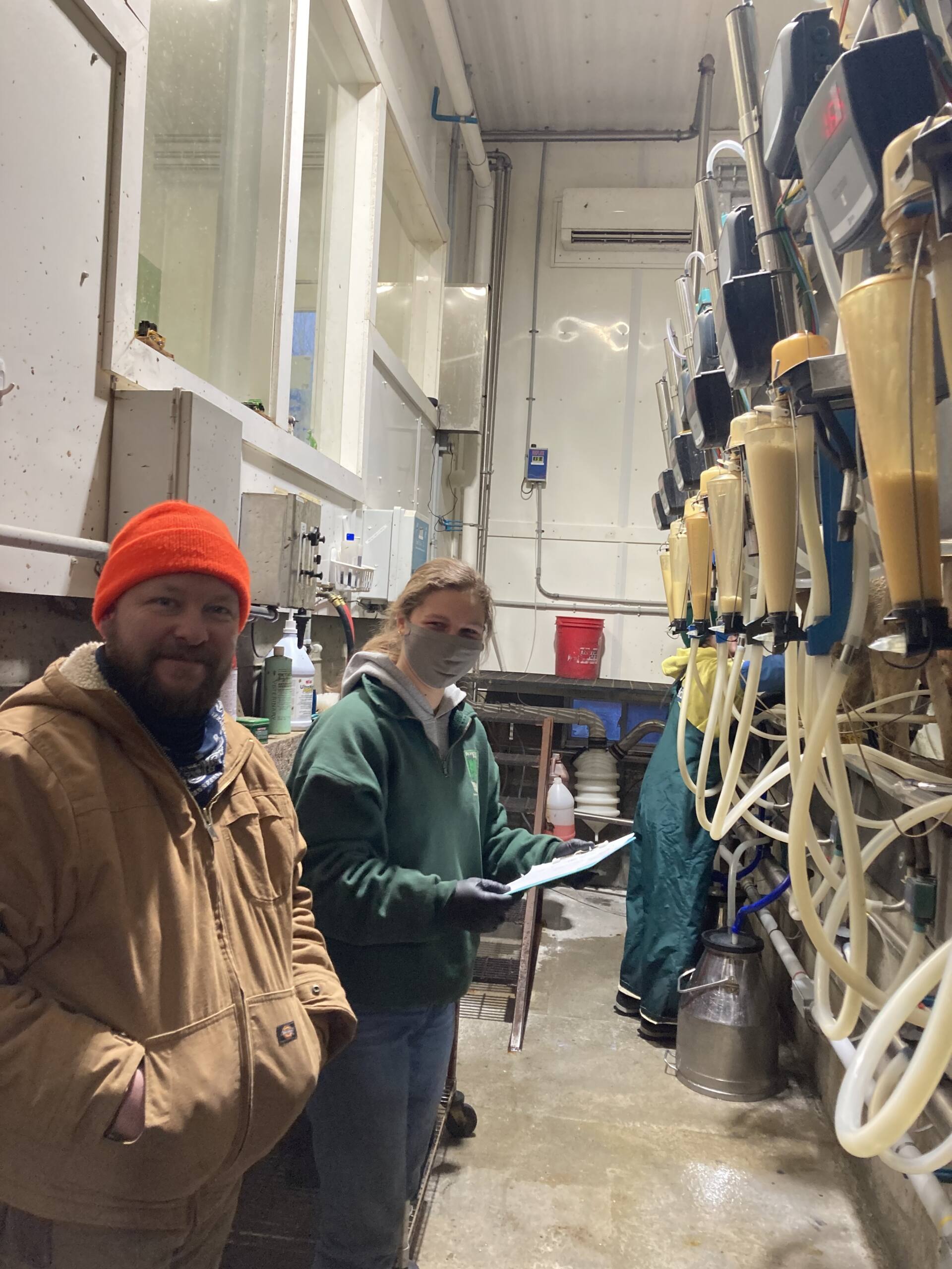 Farm staff working with dairy equipment