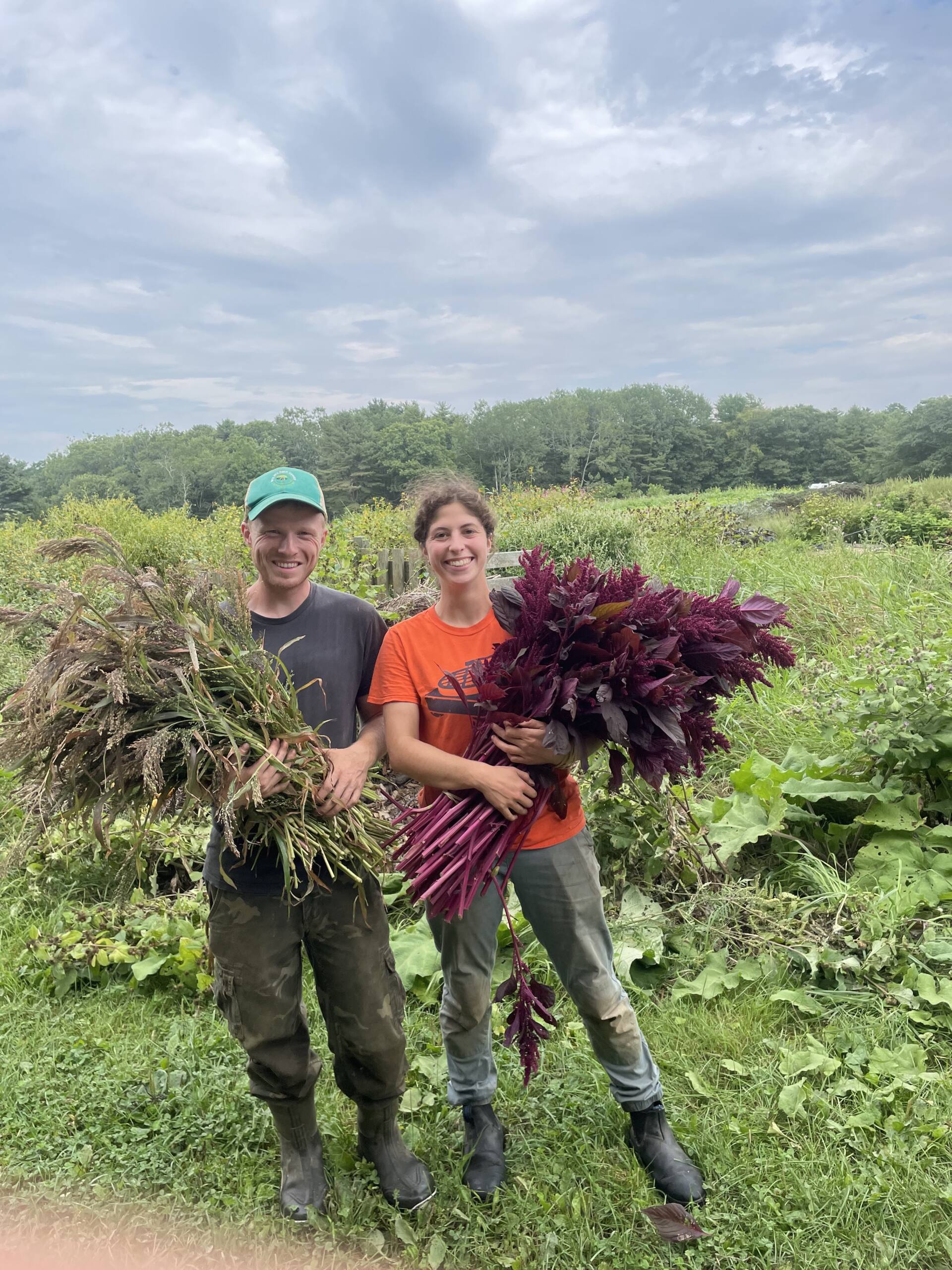 Two farm staffers holding large bunches of plants