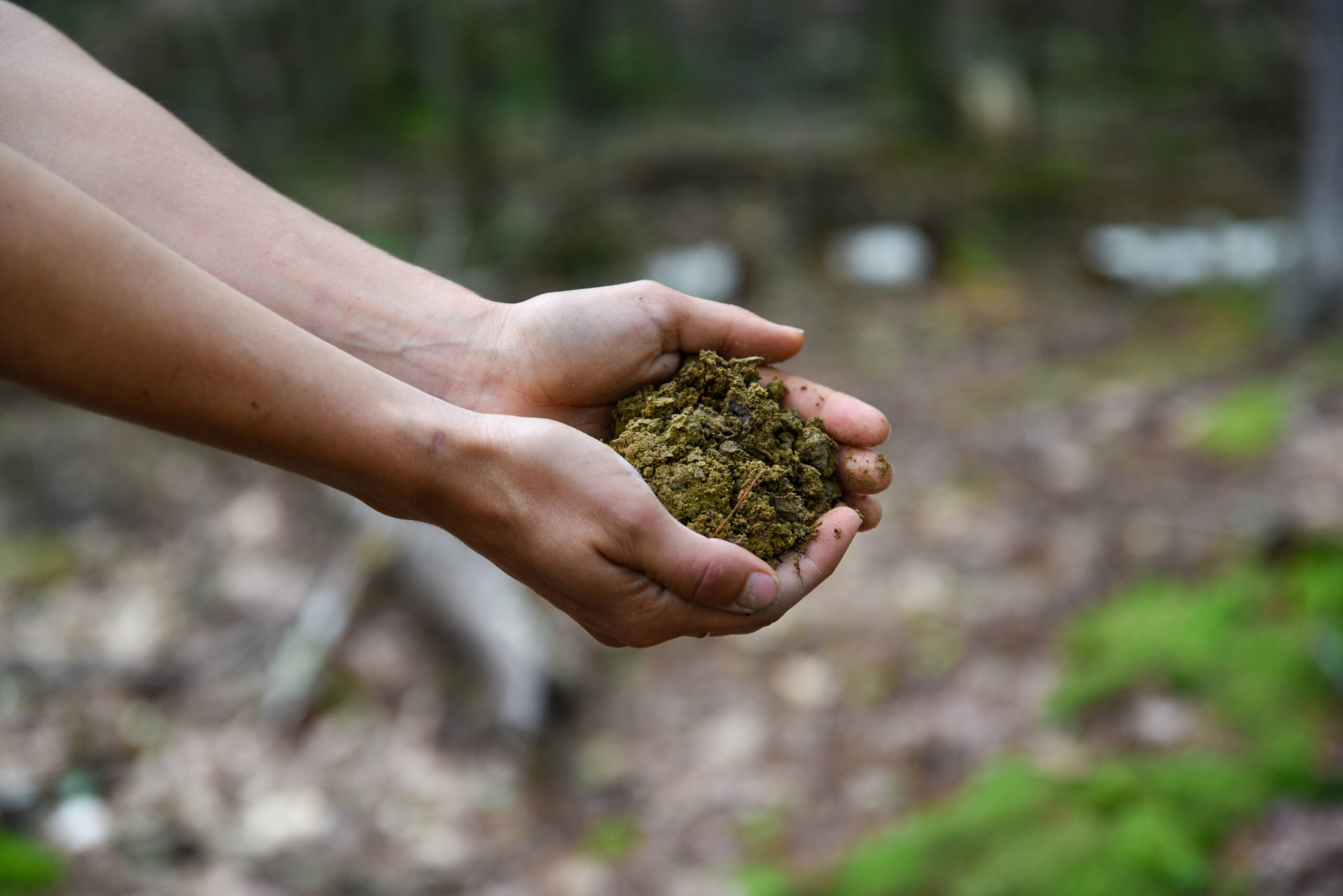 A person's hands holding some soil
