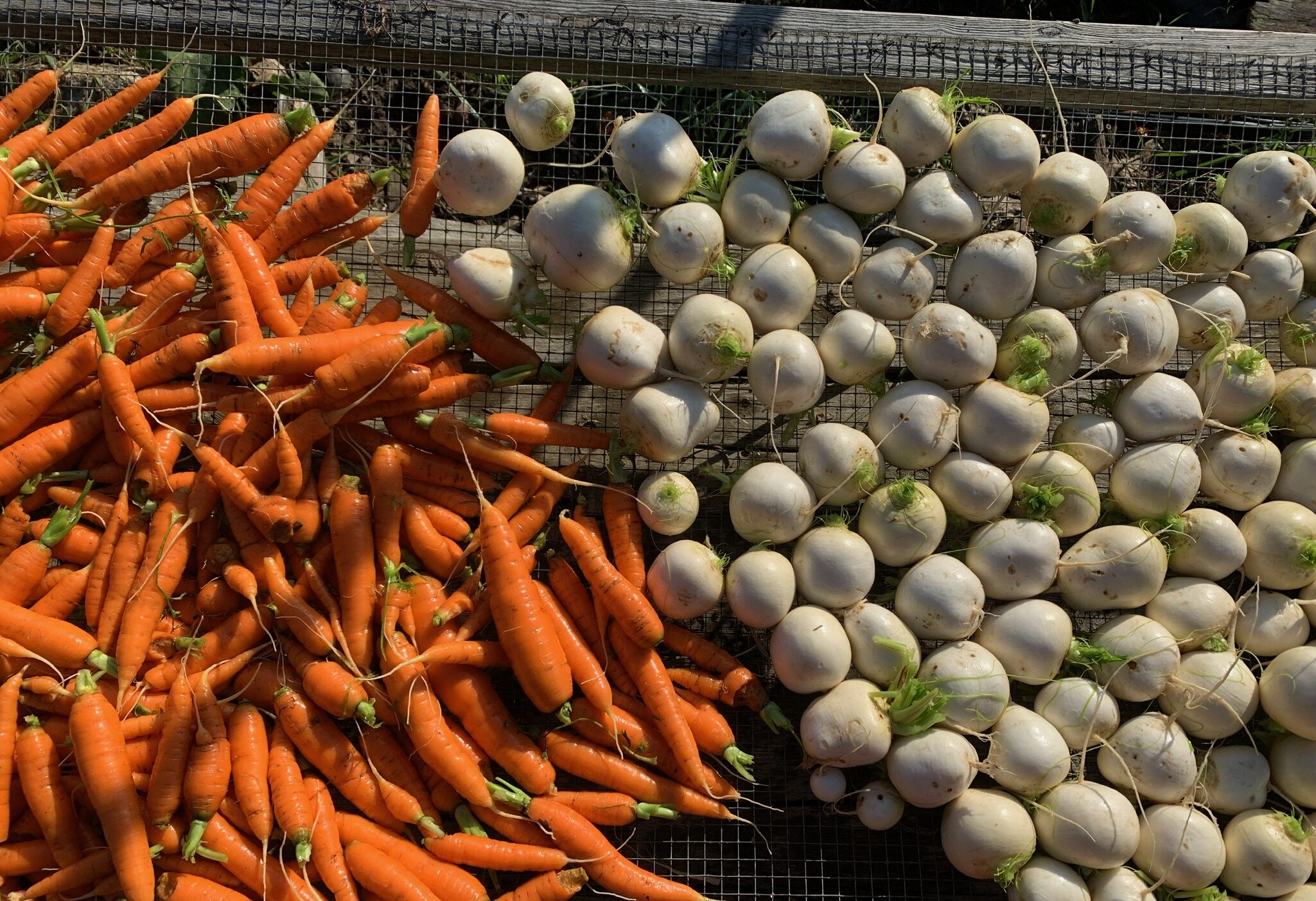 Carrots and potatoes on a grate