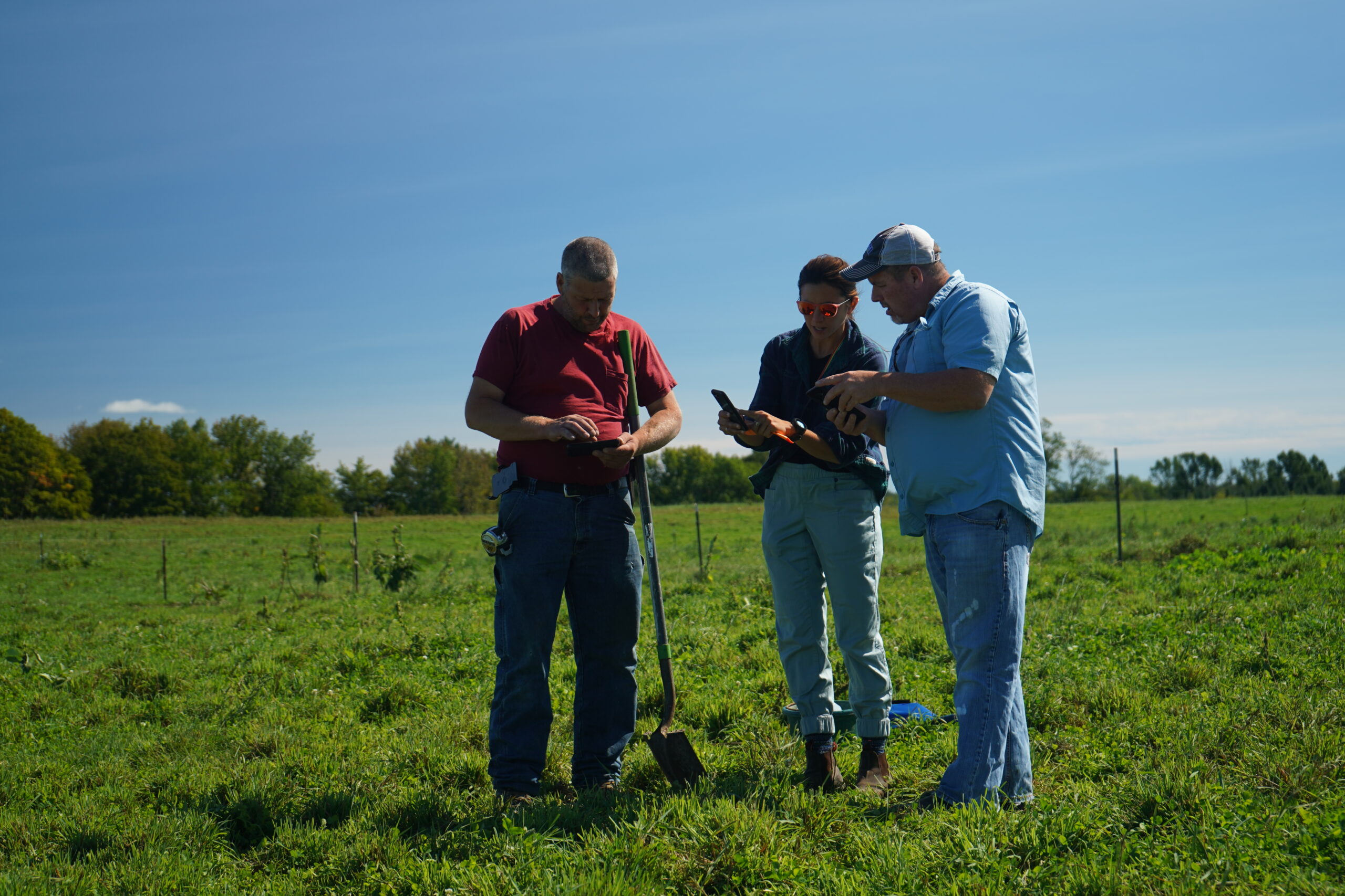 Farm staff looking over a cell phone in a field