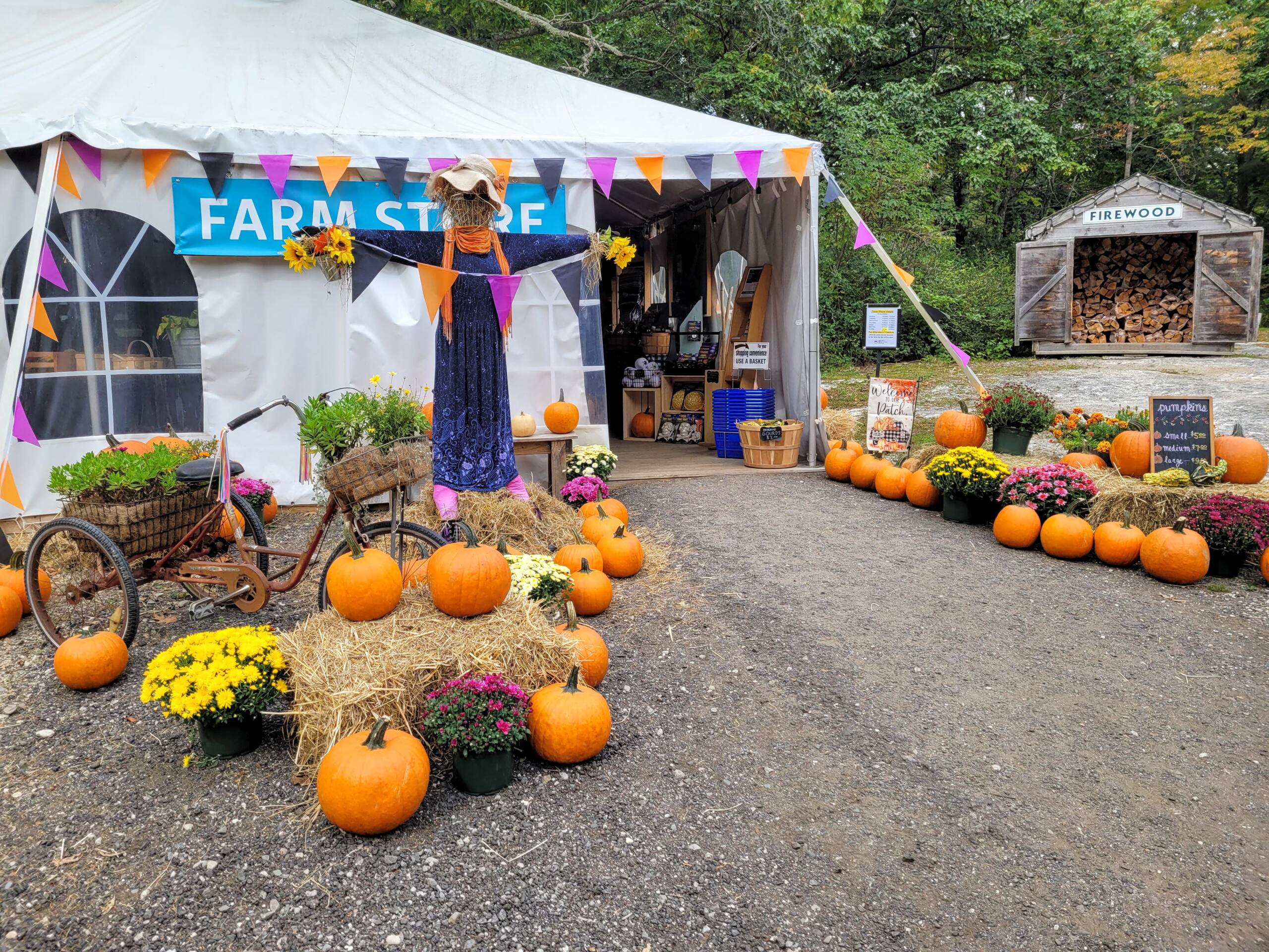 Outside the farm store during fall festival