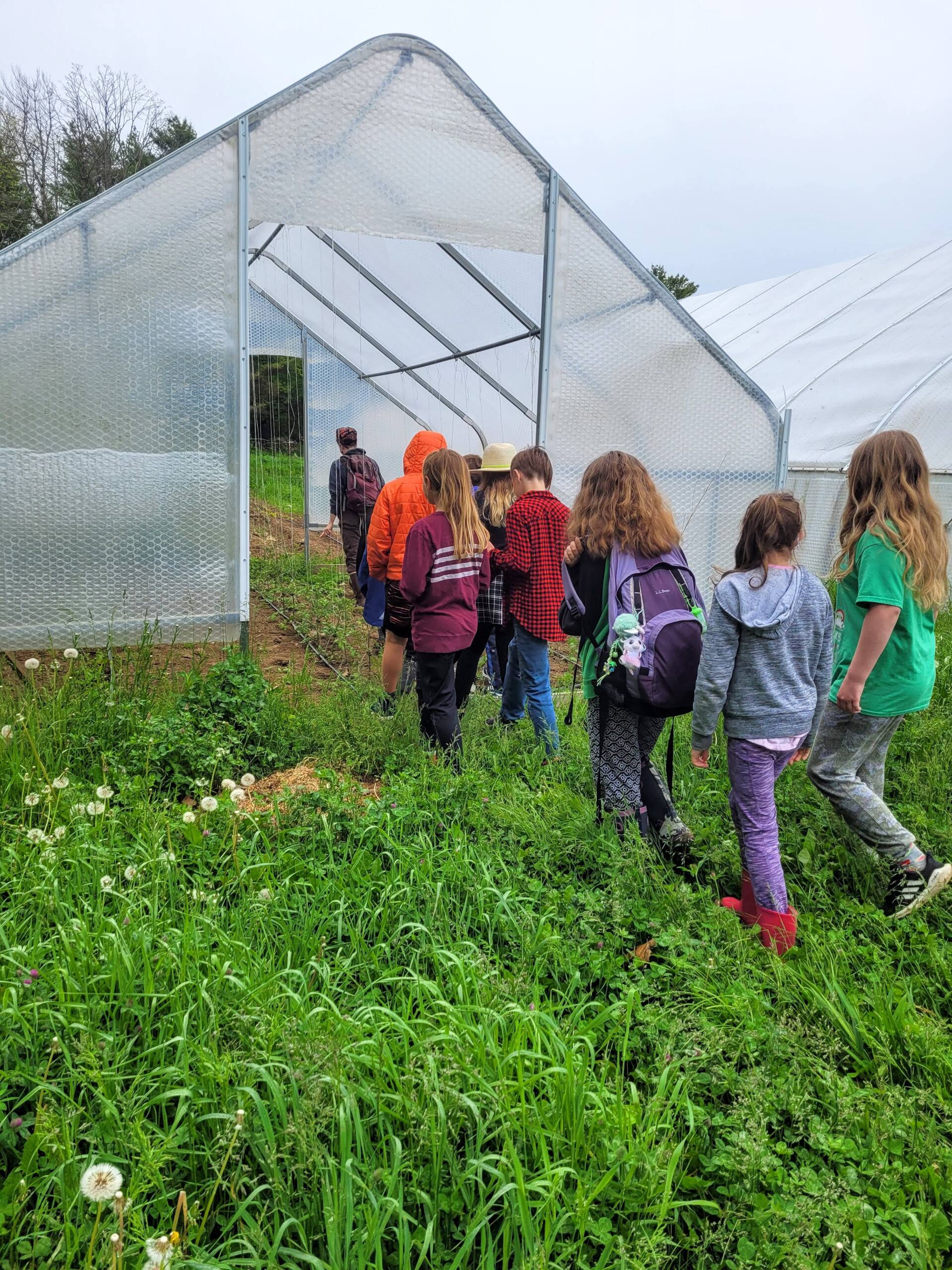 A group of kids walking into a greenhouse